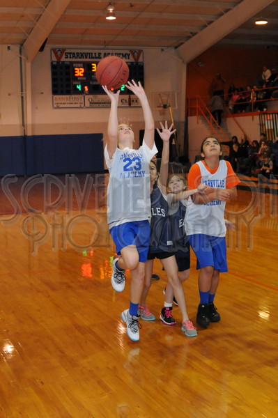 1-31-15 SA vs. HCS Pee Wee 196.JPG
